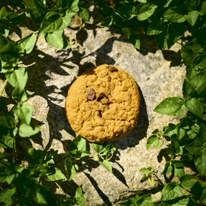 Cookie Clicker by C418