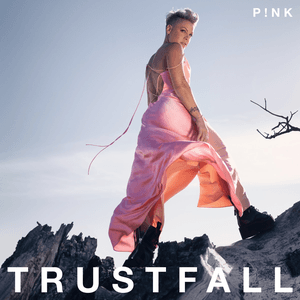 Trustfall by P!nk