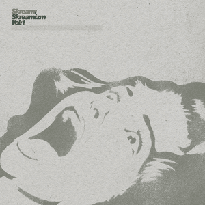 Skreamizm Vol. 1 by Skream