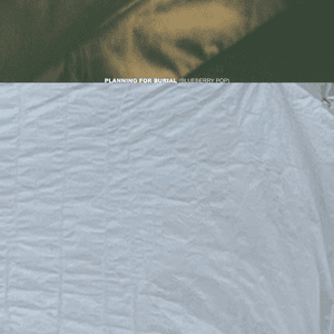 (blueberry pop) by Planning for Burial