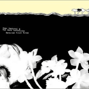 Bavarian Fruit Bread by Hope Sandoval