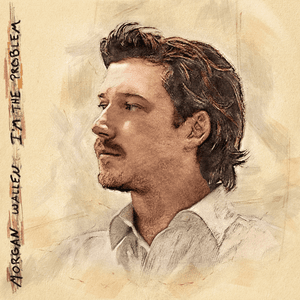 I’m the Problem by Morgan Wallen