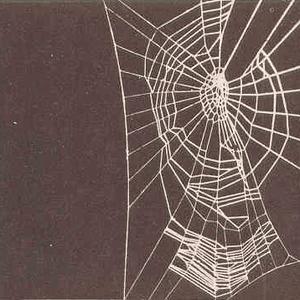 Spider Heaven by Mutual Benefit