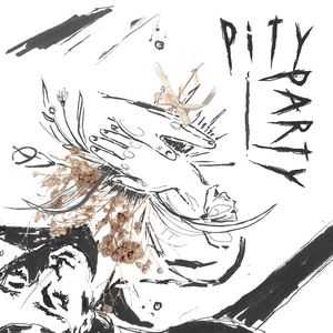Pity Party by Makthaverskan
