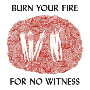 Burn Your Fire For No Witness (Deluxe Edition) by Angel Olsen