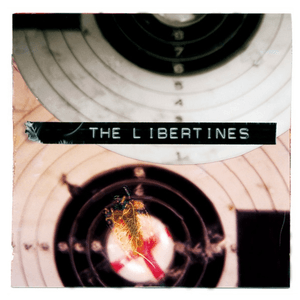 What A Waster (Single) by The Libertines