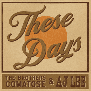 These Days by The Brothers Comatose