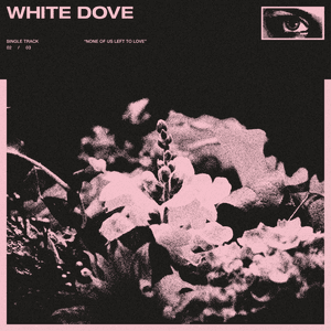White Dove by Koda