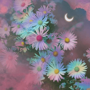 Ear Candy by Sleepy Tom