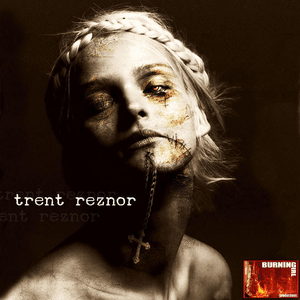 A Tribute to Nine Inch Nails by Trent Reznor