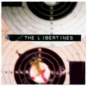 What a Waster by The Libertines