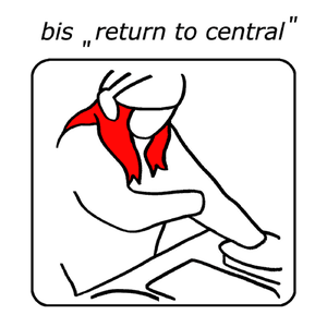 Return To Central by BiS