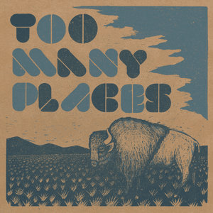Too Many Places by The Brothers Comatose