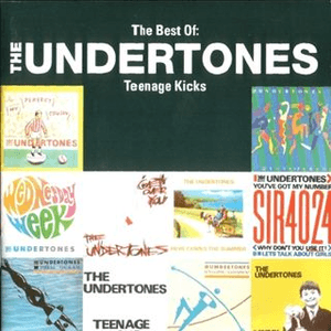 Teenage Kicks: The Best of the Undertones by The Undertones