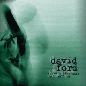 I Don't Care What You Call Me by David Ford