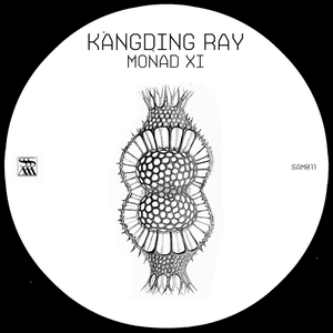 Monad XI by Kangding Ray