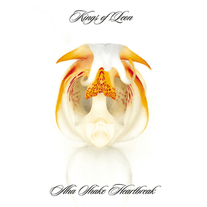 Aha Shake Heartbreak by Kings of Lyon