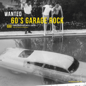 Wanted 60's Garage Rock: From Diggers to Music Lovers by George Washington