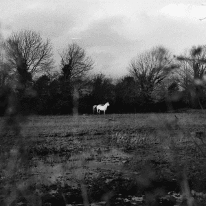 when you run away, do you close your eyes by Flatsound