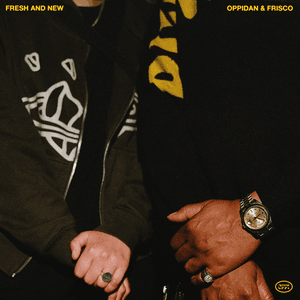 FRESH AND NEW by Oppidan