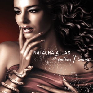Something Dangerous by Natacha Atlas