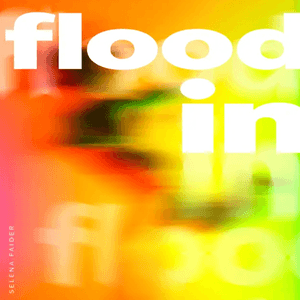 Flood In by Selena Faider