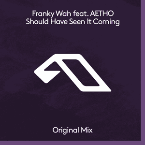 Should Have Seen It Coming by Franky Wah