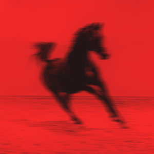 Crush, TX by Red Rum Club