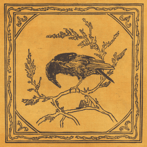 Crows - Single by Curiosity Shop