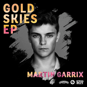 Gold Skies by Martin Garrix
