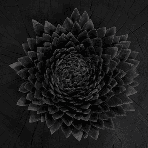 Obsidian by Jónsi