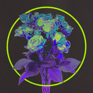 Dreaming of a Disco by Baltra