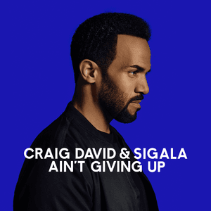 Ain't Giving Up by Craig David