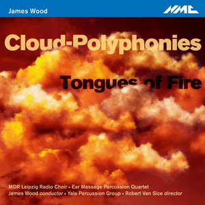 James Wood: Cloud-Polyphonies & Tongues of Fire by James Wood