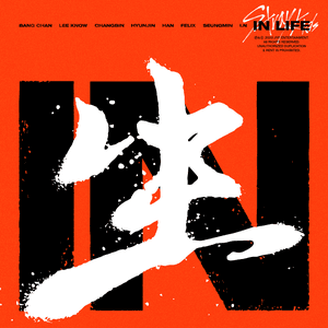 IN LIFE by Stray Kids