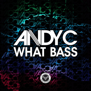 What Bass by Andy C