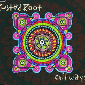 Evil Ways by Rusted Root