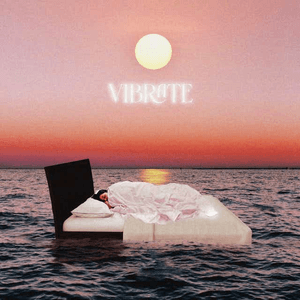 Vibrate by Red Rum Club