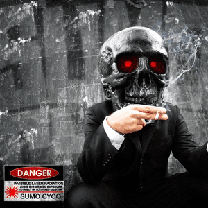 Danger - Single by Sumo Cyco