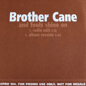 And Fools Shine On by Brother Cane