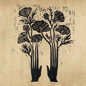 Flowers by Nathaniel Rateliff