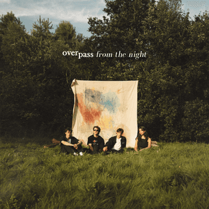 From the Night by Overpass