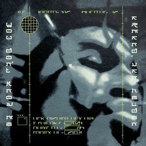 You Don't Know Me (feat. Duane Harden) by Armand van Helden