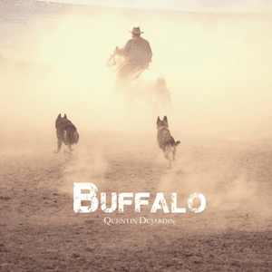 Buffalo by Quentin Dujardin
