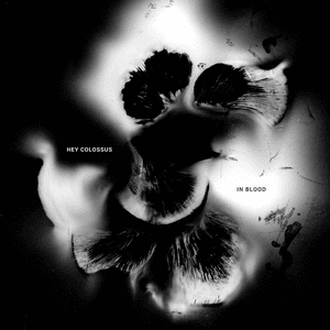 In Blood by Hey Colossus