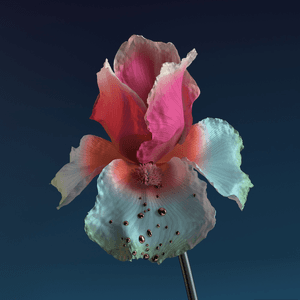 Skin: The Remixes by Flume