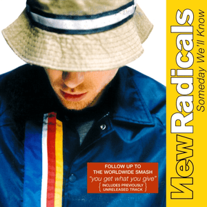 Someday We'll Know by New Radicals