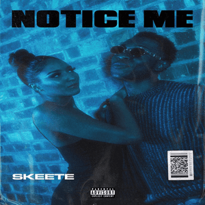 Notice Me by Skeete