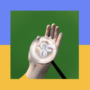 Windows by Frankie Cosmos