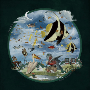 I'll Tell You Someday by Plini